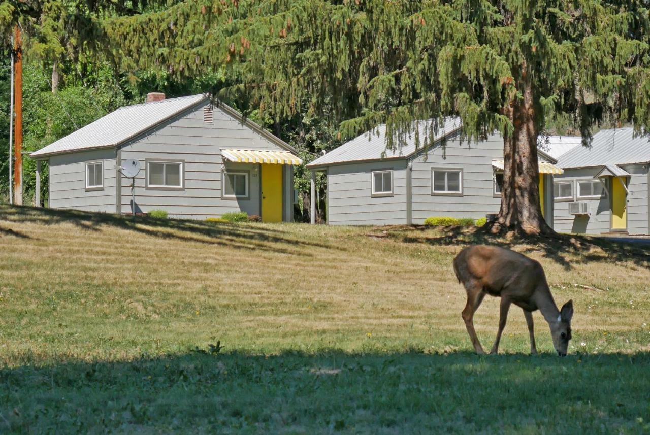 Idle A While Cabins Twisp Exterior foto
